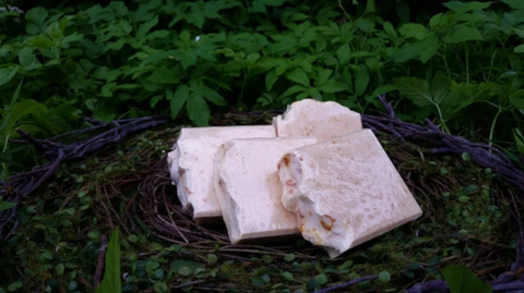Clothed in The Sun Goat's Milk Soap